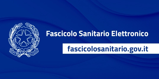 FSE Sito web